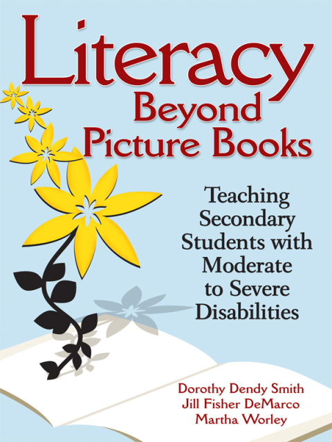 Cover image for book Literacy Beyond Picture Books
