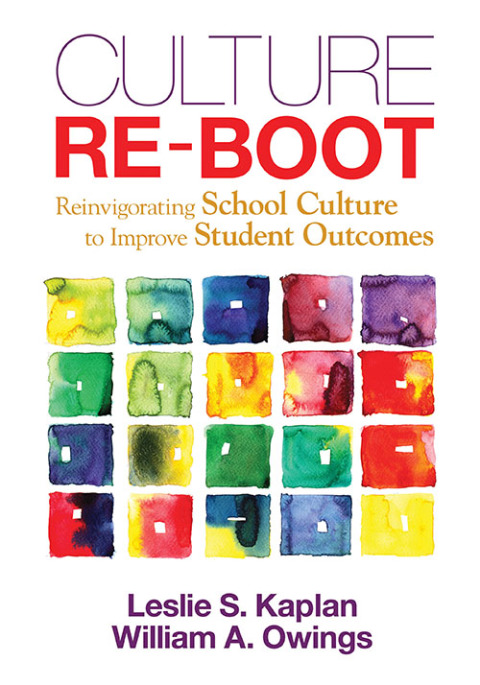 Cover image for book Culture Re-Boot