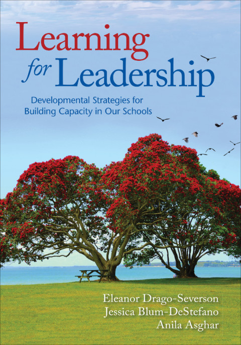 Cover image for book Learning for Leadership