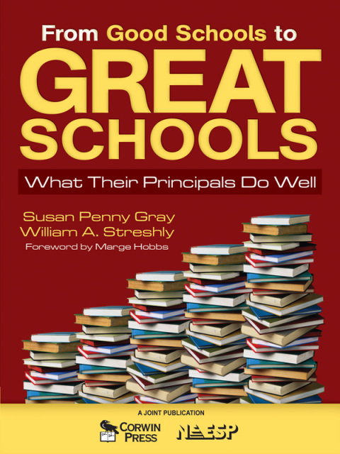 Cover image for book From Good Schools to Great Schools