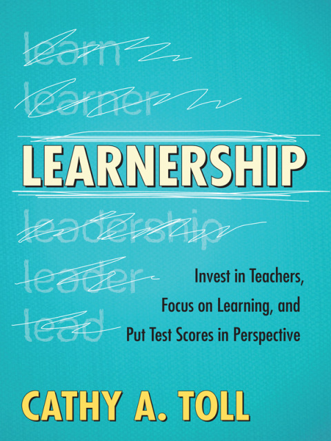 Cover image for book Learnership