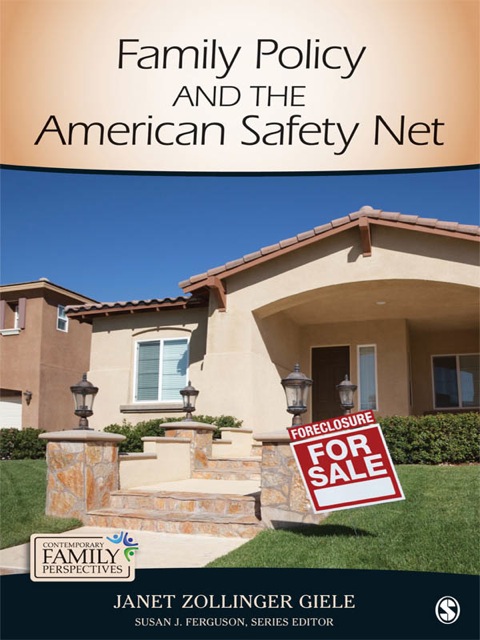 Cover image for book Family Policy and the American Safety Net