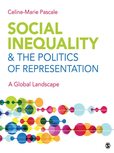 Cover image for book Social Inequality & The Politics of Representation