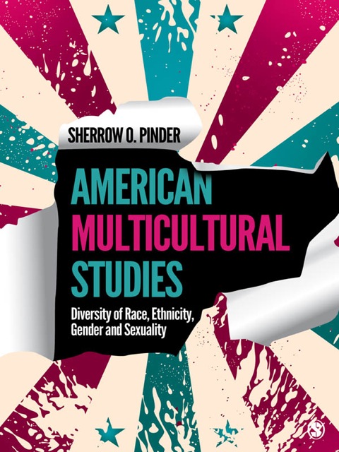 Cover image for book American Multicultural Studies