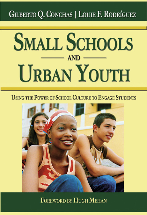 Cover image for book Small Schools and Urban Youth