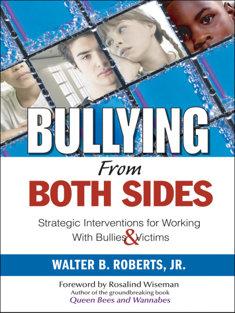 Cover image for book Bullying From Both Sides