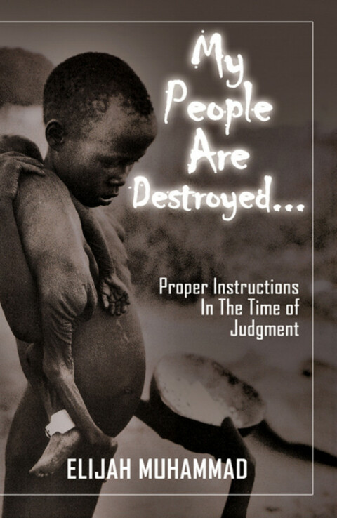 Cover image for book My People Are Destroyed - Proper Instructions In The Time of Judgment