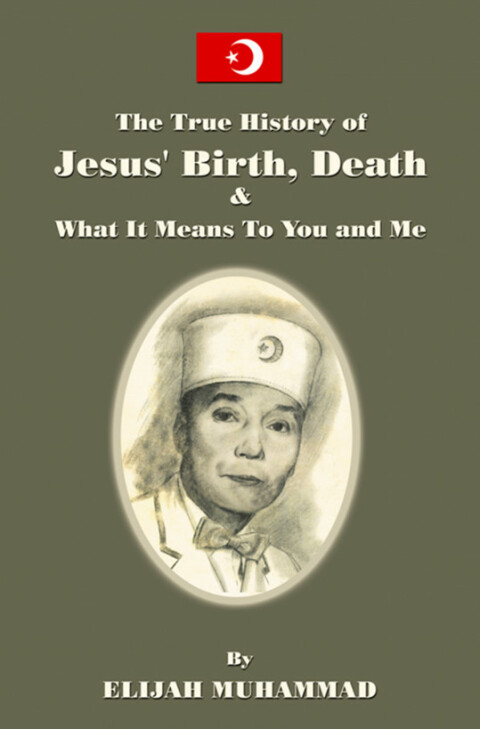 Cover image for book The True History of Jesus' Birth Death and What It Means To You and Me