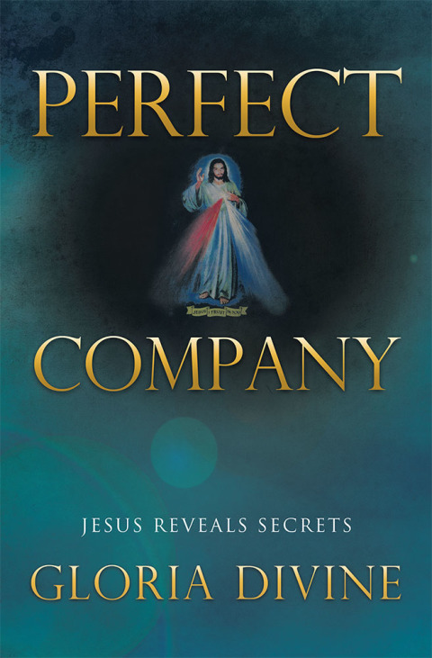 Cover image for book Perfect Company