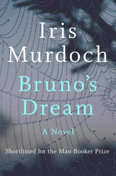 Cover image for book Bruno's Dream