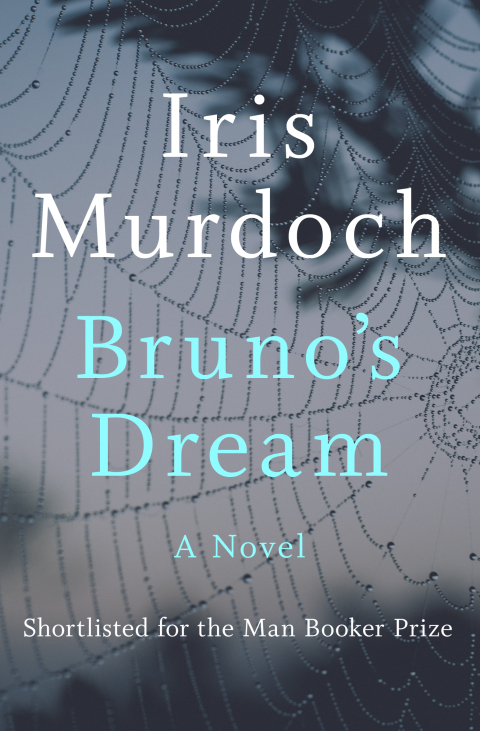 Cover image for book Bruno's Dream