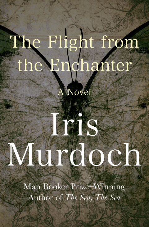 Cover image for book The Flight from the Enchanter