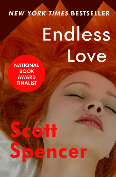 Cover image for book Endless Love