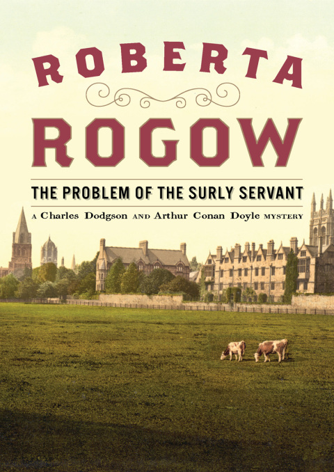 Cover image for book The Problem of the Surly Servant
