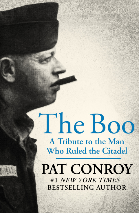 Cover image for book The Boo