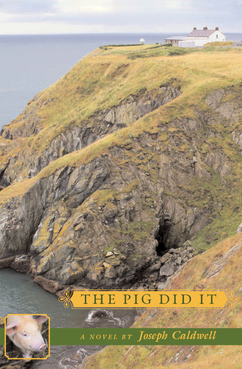 Cover image for book The Pig Did It