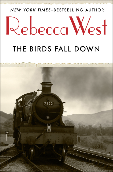 Cover image for book The Birds Fall Down