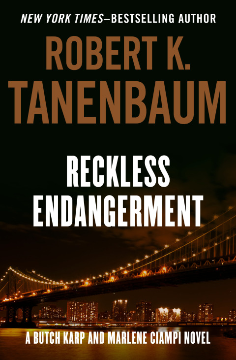 Cover image for book Reckless Endangerment