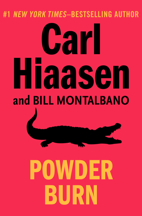 Cover image for book Powder Burn