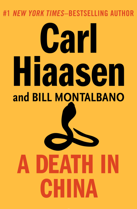 Cover image for book A Death in China