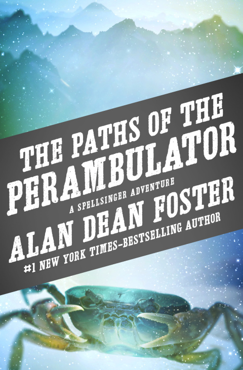 Cover image for book The Paths of the Perambulator