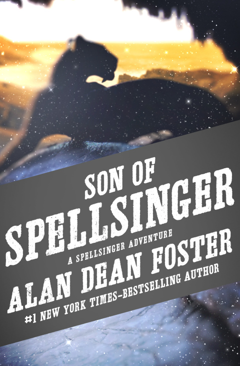 Cover image for book Son of Spellsinger