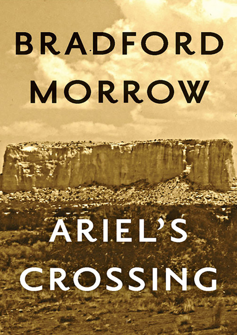 Cover image for book Ariel's Crossing