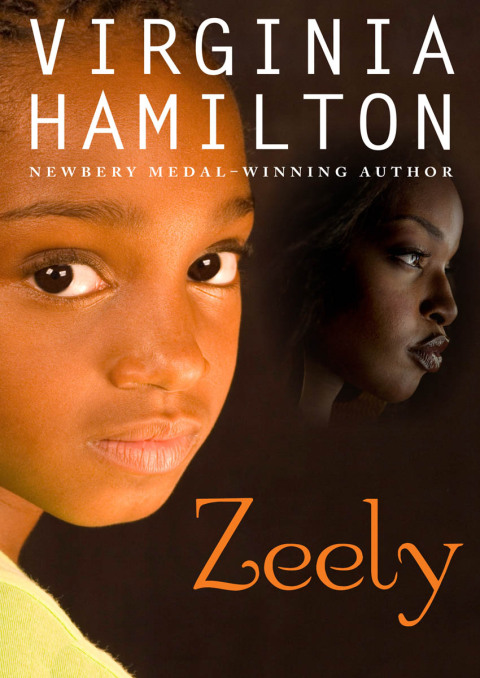 Cover image for book Zeely