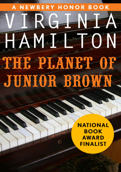 Cover image for book The Planet of Junior Brown