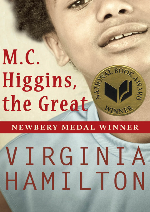 Cover image for book M.C. Higgins, the Great