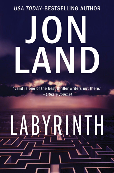 Cover image for book Labyrinth