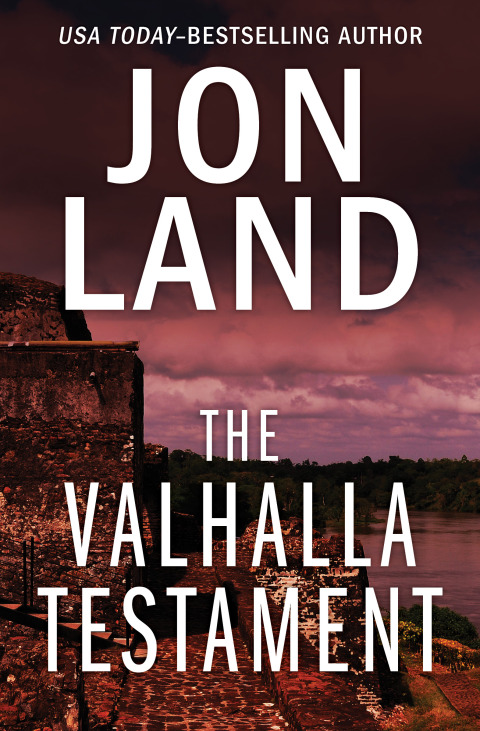 Cover image for book The Valhalla Testament