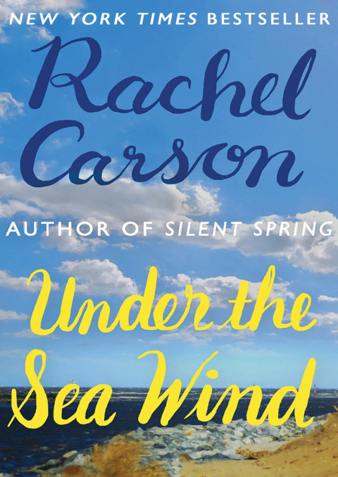Cover image for book Under the Sea Wind