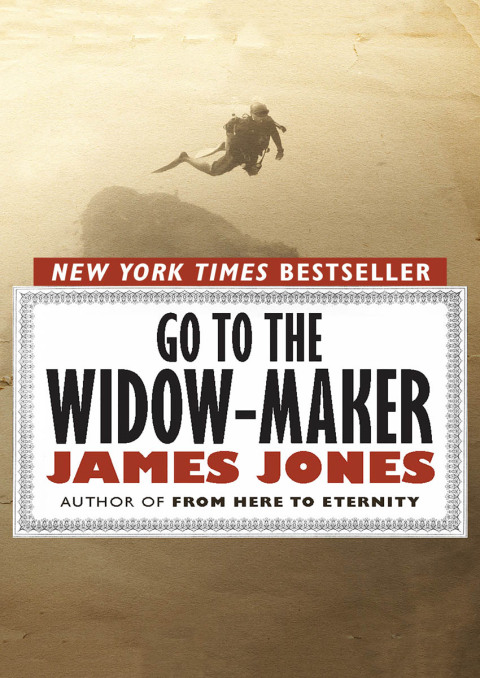 Cover image for book Go to the Widow-Maker