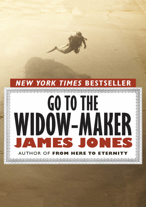Cover image for book Go to the Widow-Maker