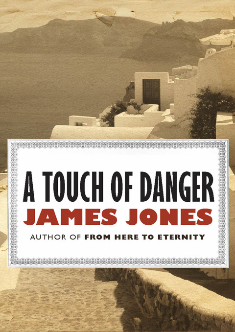 Cover image for book A Touch of Danger