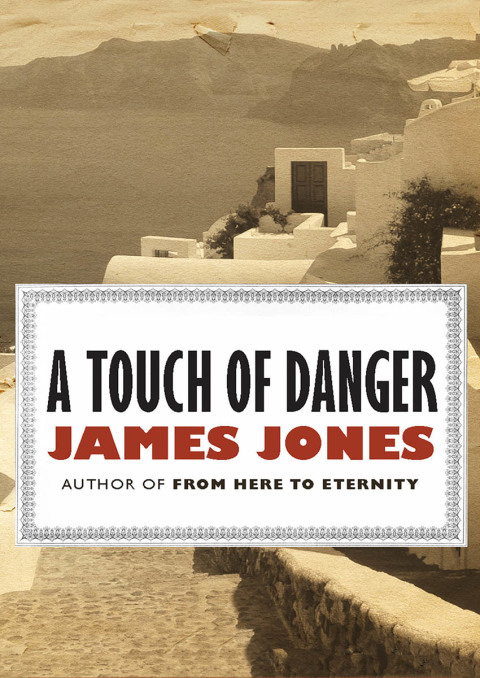 Cover image for book A Touch of Danger