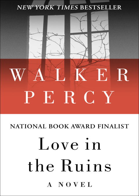 Cover image for book Love in the Ruins
