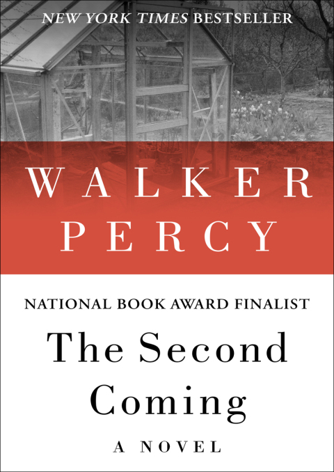 Cover image for book The Second Coming