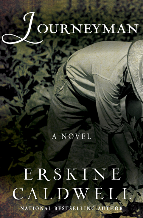 Cover image for book Journeyman