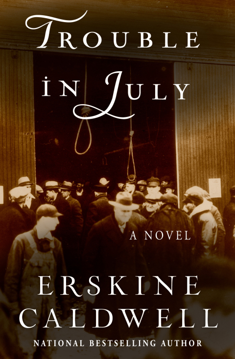 Cover image for book Trouble in July