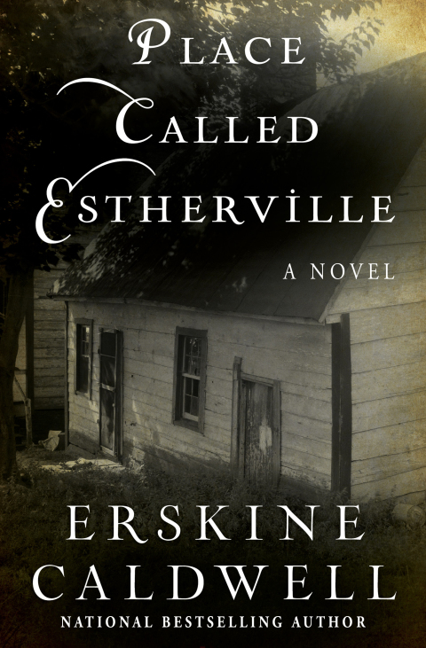 Cover image for book Place Called Estherville