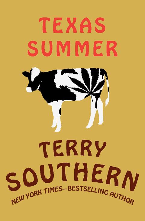 Cover image for book Texas Summer