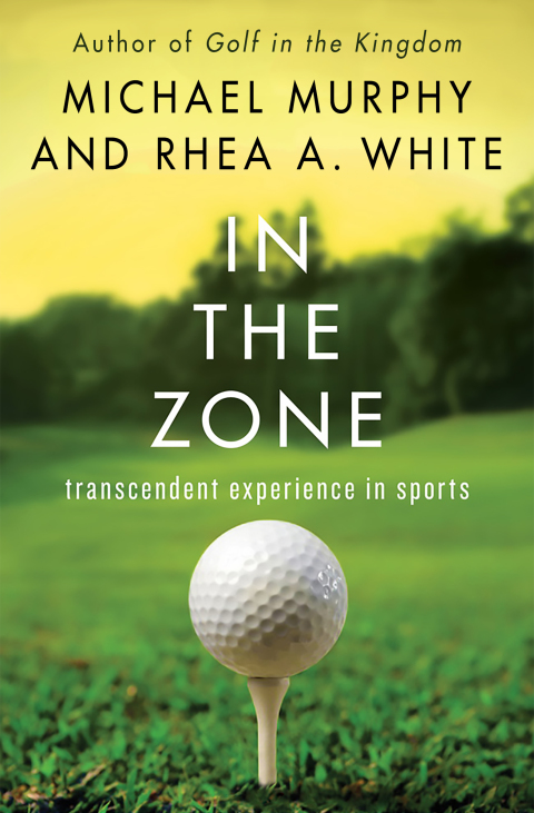 Cover image for book In the Zone