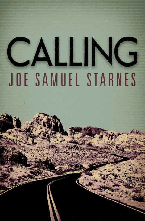 Cover image for book Calling