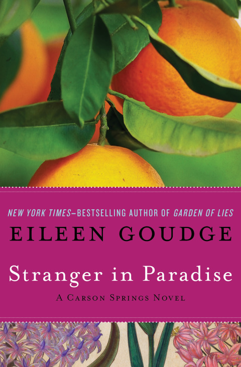 Cover image for book Stranger in Paradise