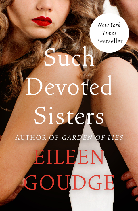 Cover image for book Such Devoted Sisters