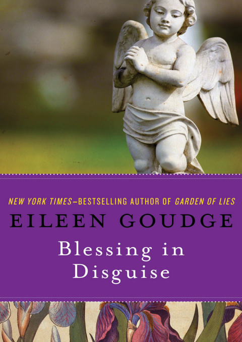 Cover image for book Blessing in Disguise