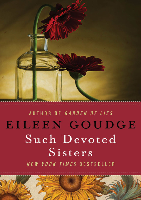Cover image for book Such Devoted Sisters