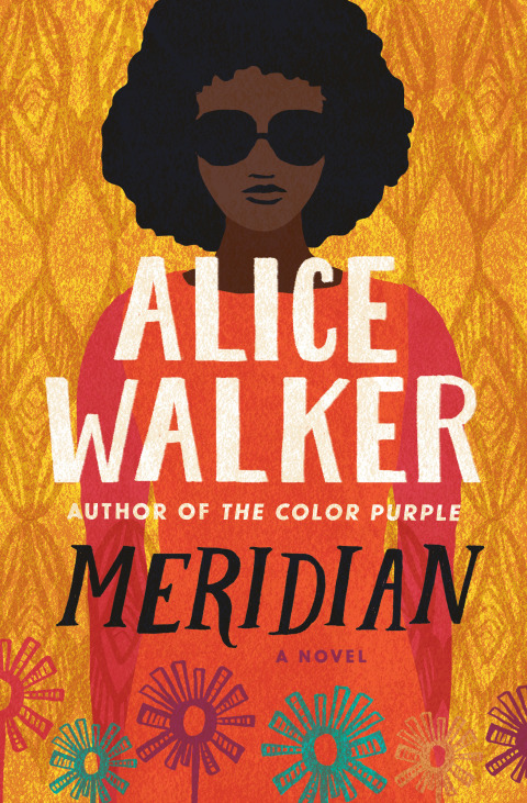 Cover image for book Meridian